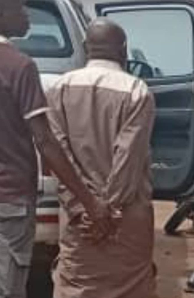 Ogun Monarch Granted N10m Bail Over N75m Fraud Allegations, Assault on Officer