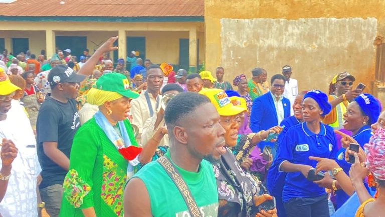 APC Campaign Committee Unveils Strategy: Rallies Behind Adeyemo and Tiamiyu’s Candidacy