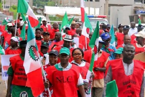 NLC Sets December 1 Ultimatum for State Govts to Implement Minimum Wage
