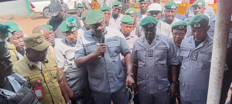 Customs Intercept Contraband Worth Over N2bn In Ogun Border Operations